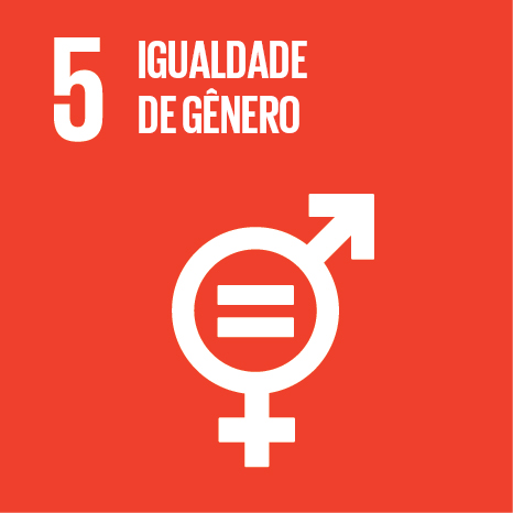 Igualdade precisa começar com representação política, diz ONU Mulheres